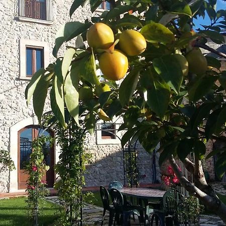 Alloggi Agrituristici Antica Dimora Villa San Demetrio ne' Vestini Buitenkant foto